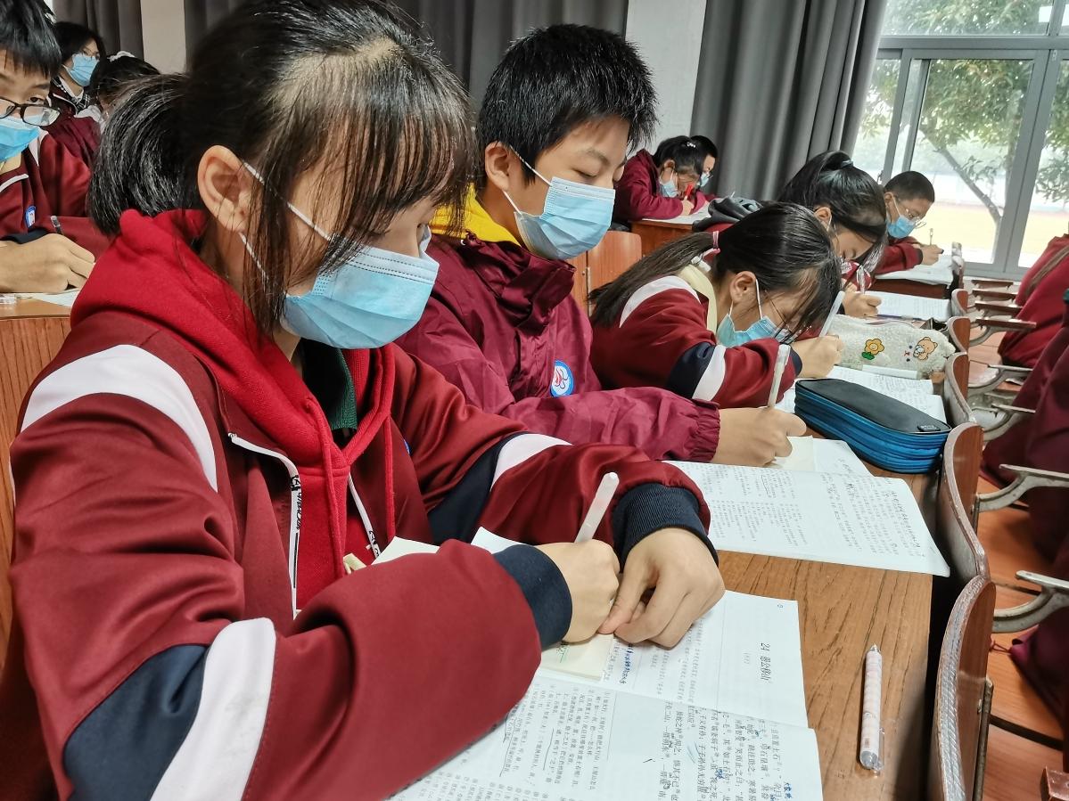 龙头老大在家闲一马当先牧羊犬是什么生肖请全面2释义、解释与落实、构建解答解释落实