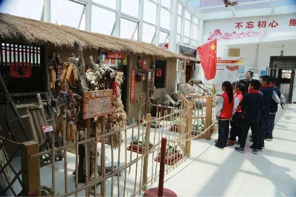 龙头老大在家闲一马当先牧羊犬是什么生肖请全面2释义、解释与落实、构建解答解释落实